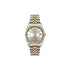Police Stria Silver Dial Two-Tone Watch